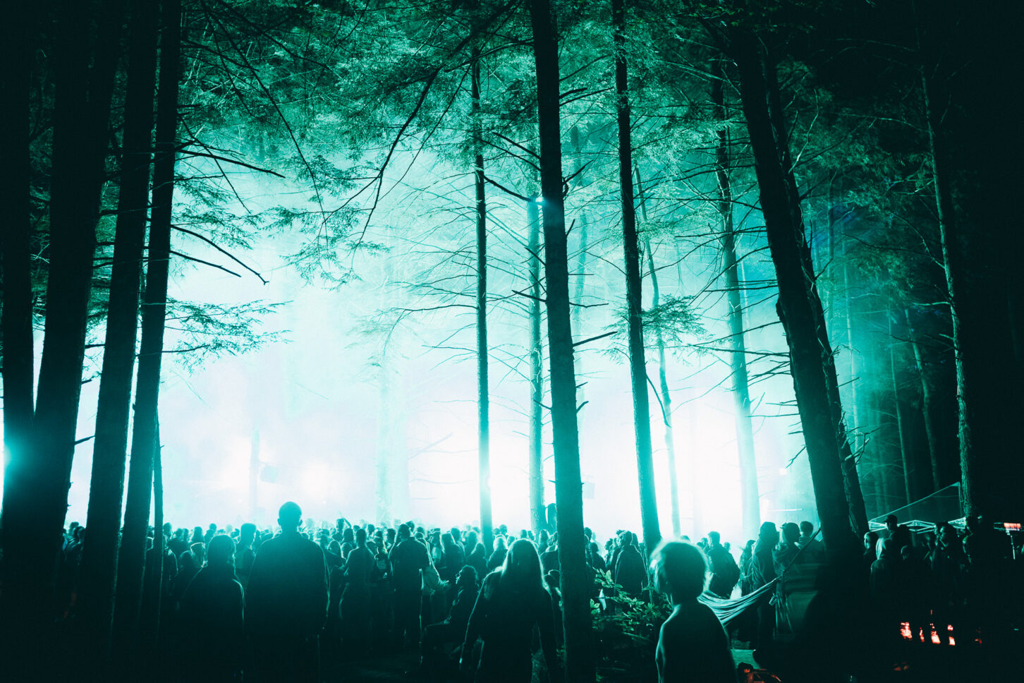 A crowd dancing in the woods of the Grove during Sustain-Release. The scene is illuminated by a bright green light.
